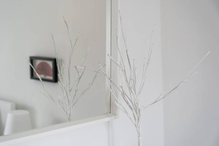 foto33