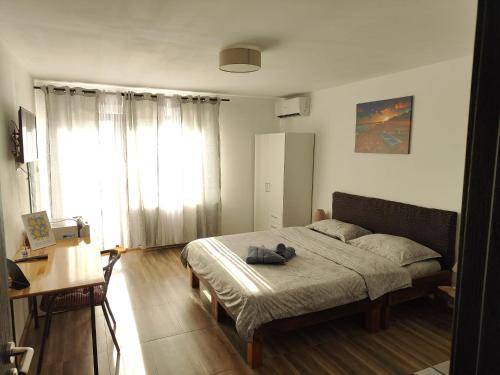 foto13