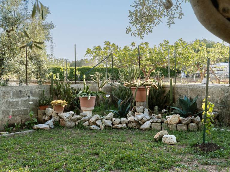 House with patio, garden & barbecue — photo 5
