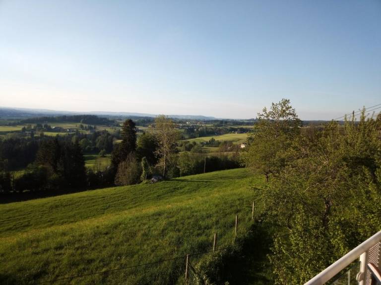 foto17