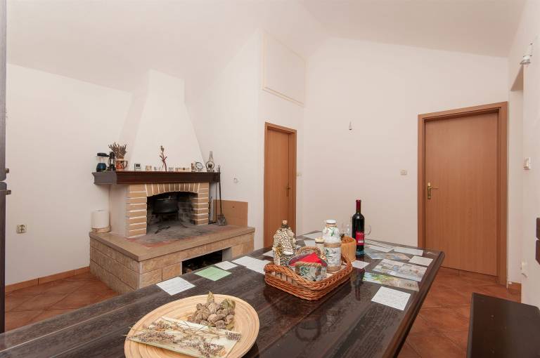 Beautiful house with barbeque & yard | Garden view | Pets are welcome — photo 3