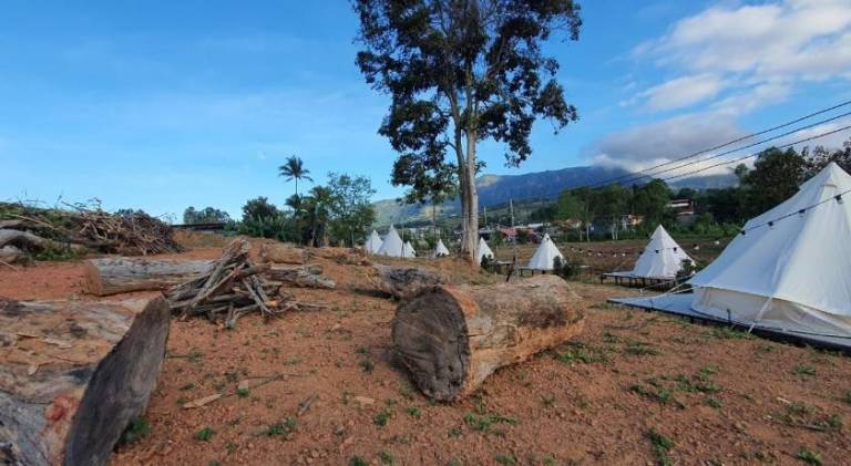 Casa Camp — photo 4
