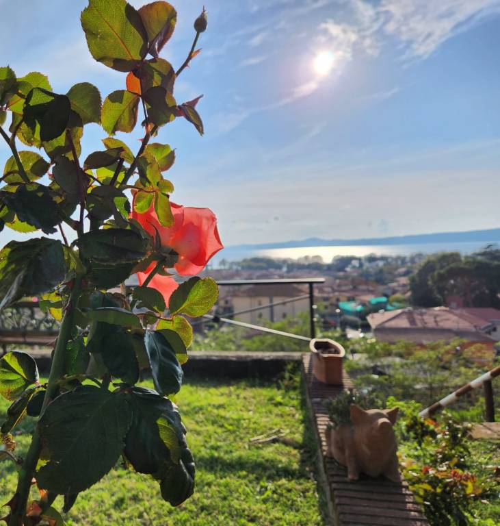 Camera privata Lago di Bolsena