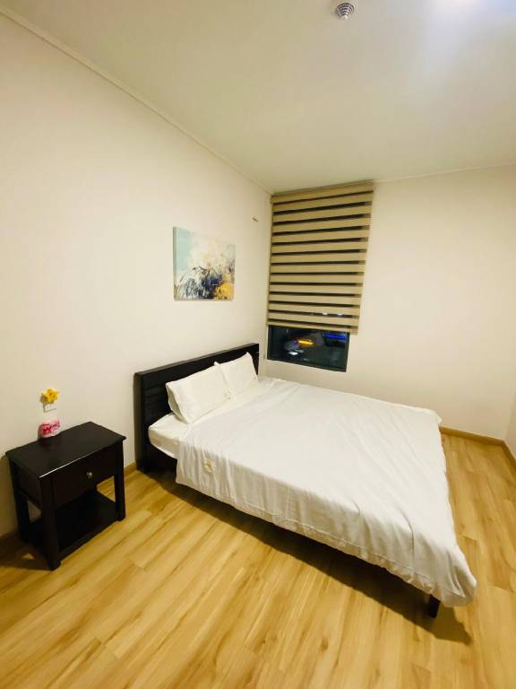 foto8