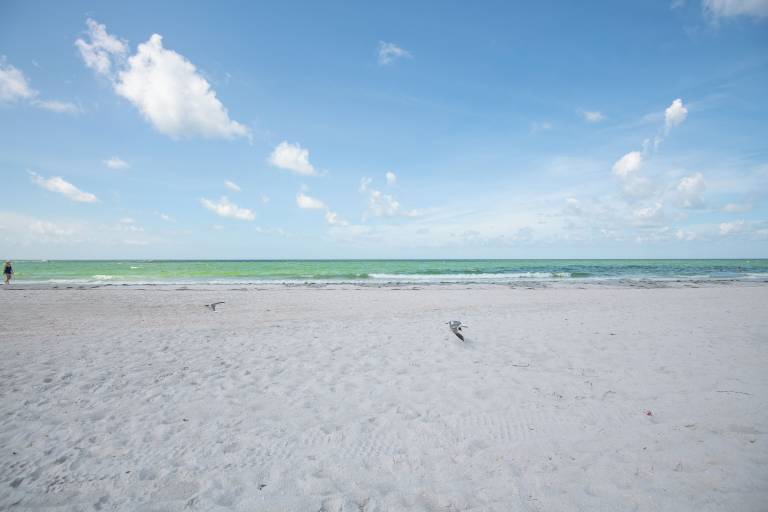 Condo Saint Pete Beach