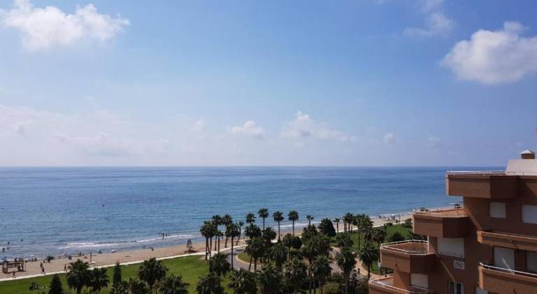Rental apartment with pool | Close to the beach | Dogs allowed — photo 5