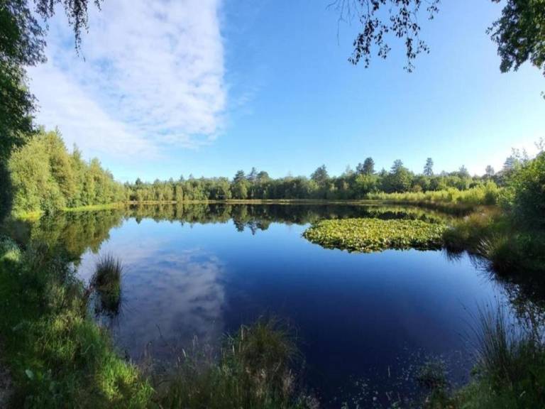 foto26