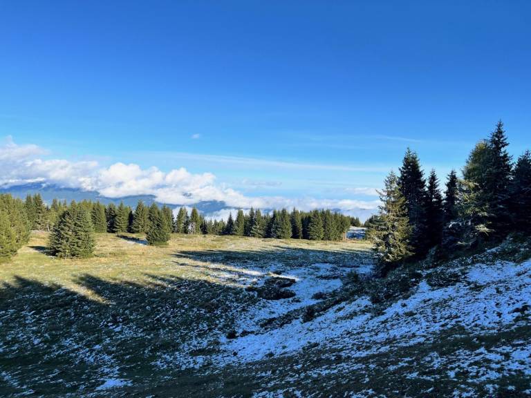 foto41