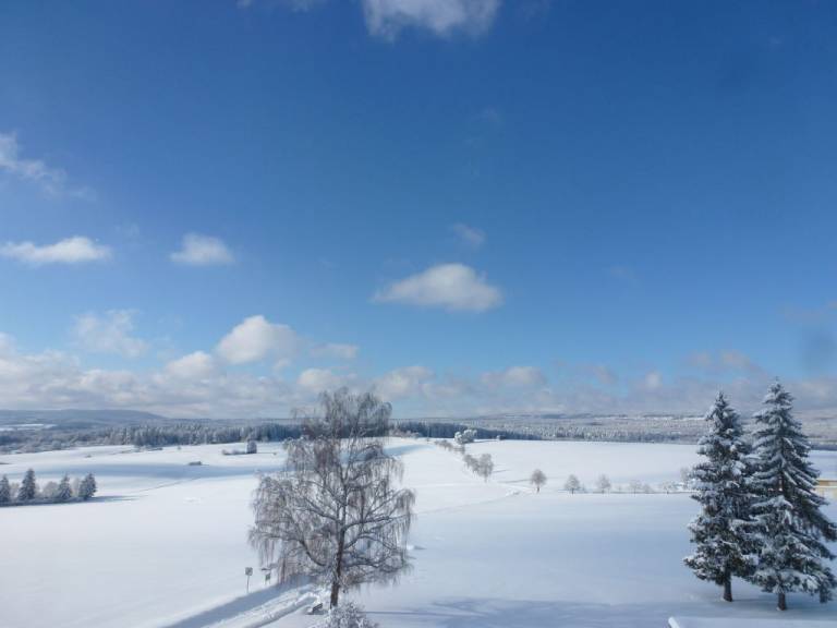foto38