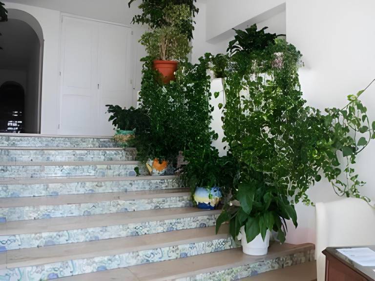Bed & Breakfast  Sorrento