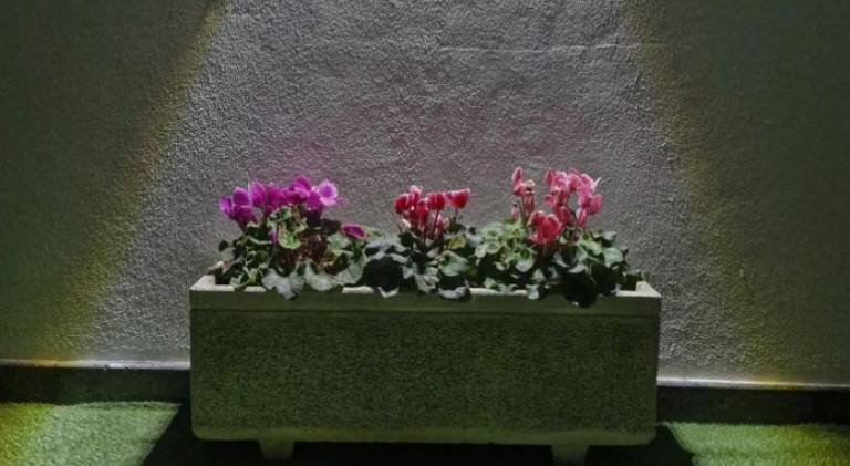foto22