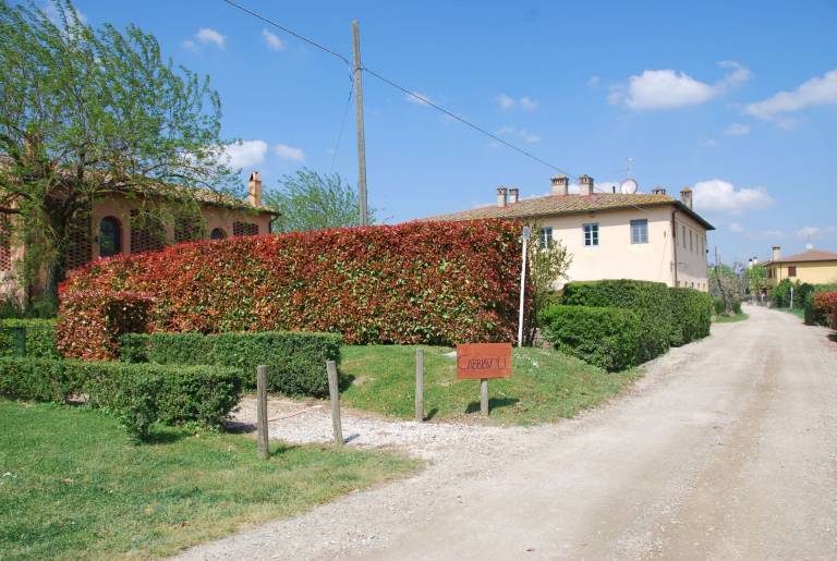 foto11