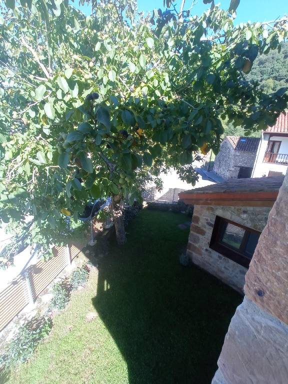 foto30