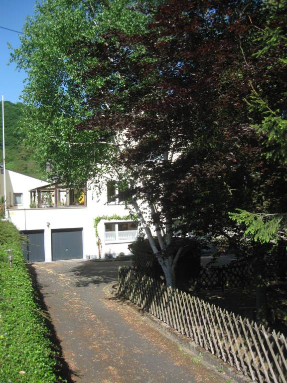 foto11