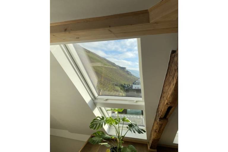 Ferienhaus Zeltingen-Rachtig