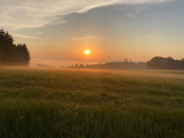 foto37