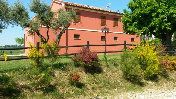 Villa Savignano: Terrace — photo 5