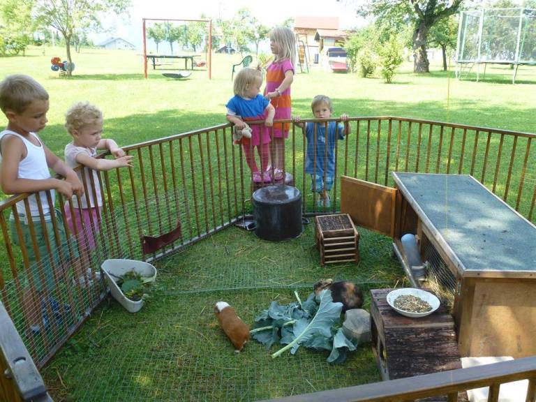 Holiday apartment with yard & BBQ — photo 5