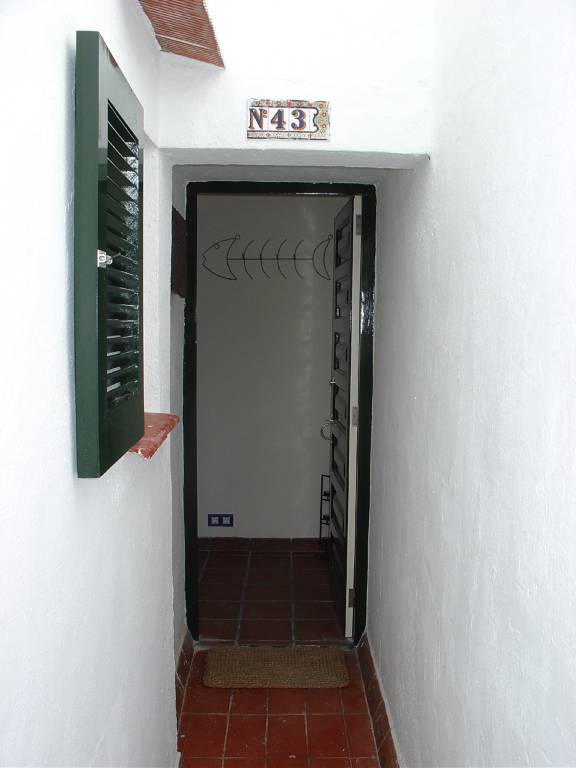 foto31