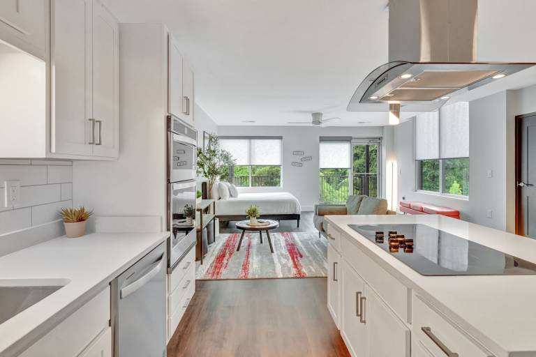 Apartment  Donelson
