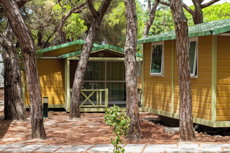Camping  Trafaria