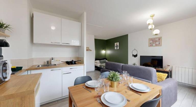 Expat renting - Le Cocon Vert - Wifi - Near station — photo 2