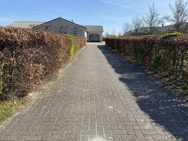 foto41