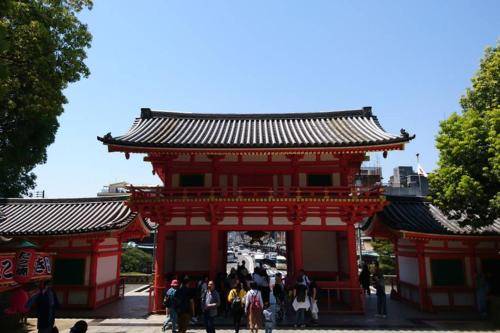 foto11
