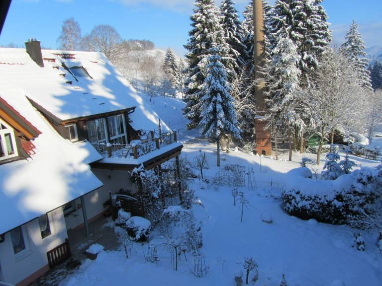 foto1