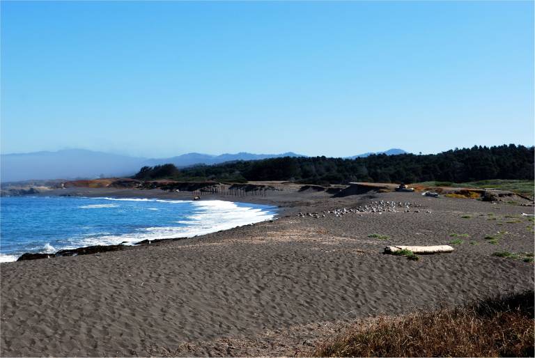 House Fort Bragg