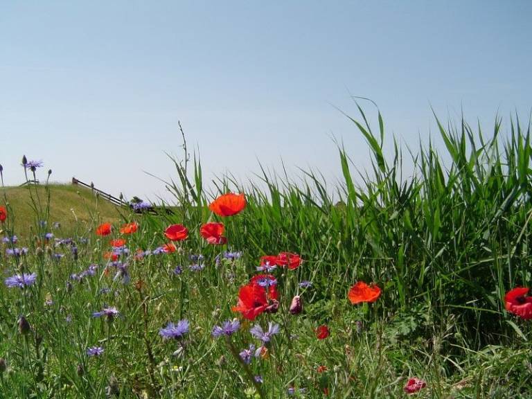 foto13