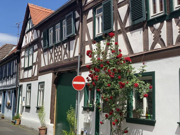 Ferienhaus Hainburg