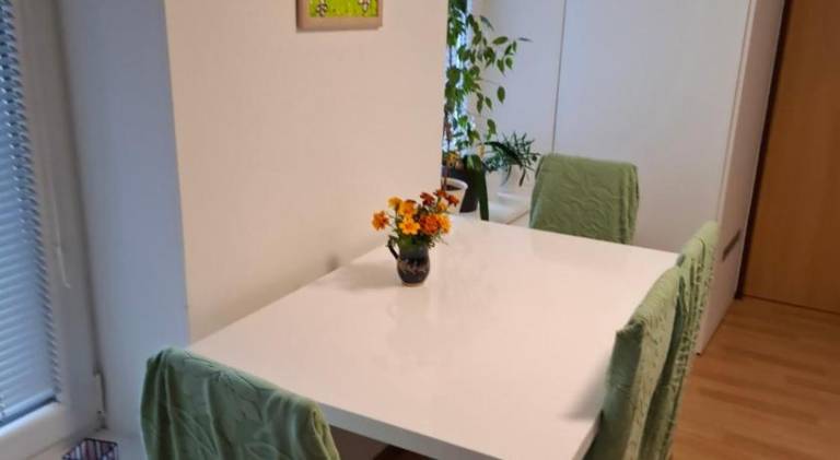 Wonderful vacation home | Dogs allowed — photo 4