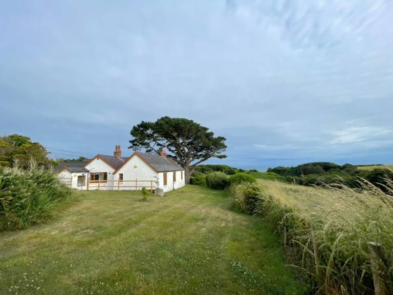 House with yard & BBQ in Tenby