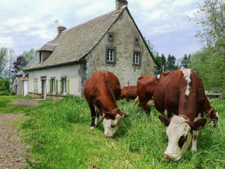 Gîte Tauves