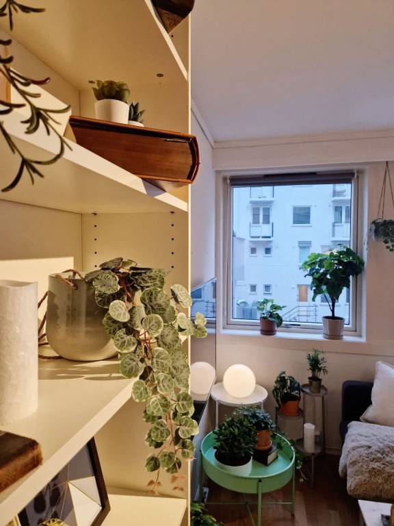 foto27