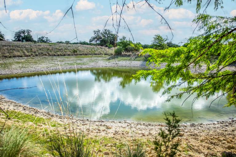 White Cottage Pet-friendly Peaceful in Blanco, TX