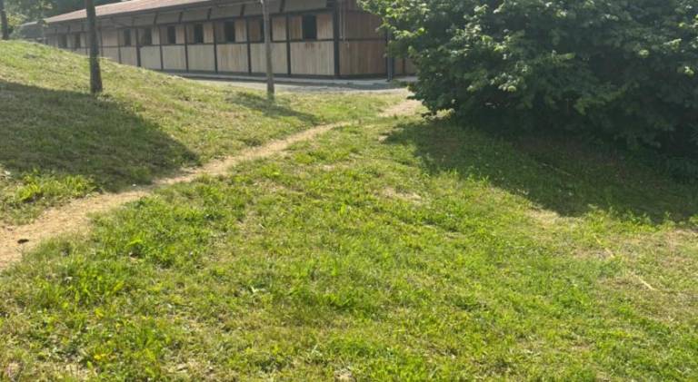 foto15