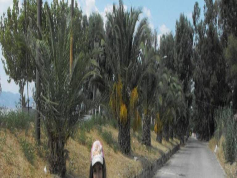 foto9