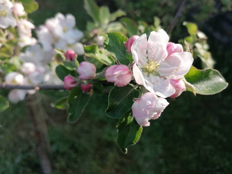 foto41