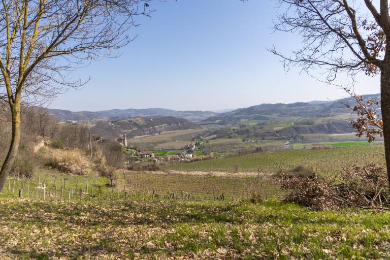 foto10
