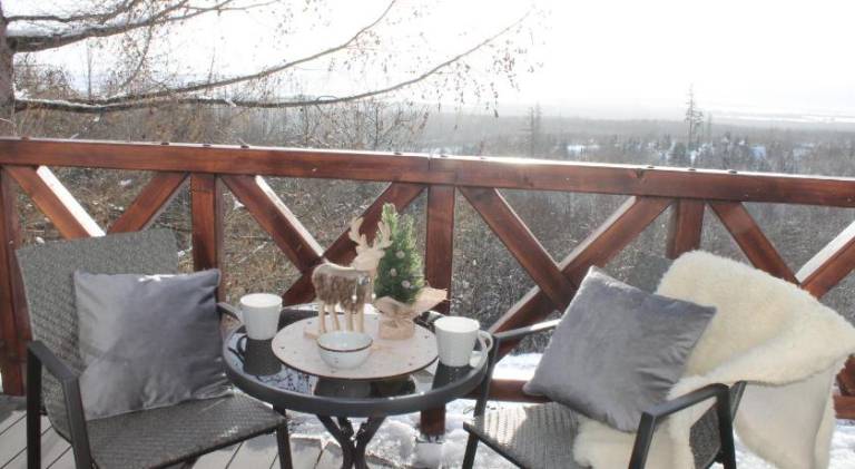 Nice rental apartment with patio & yard | Pets are welcome — photo 5