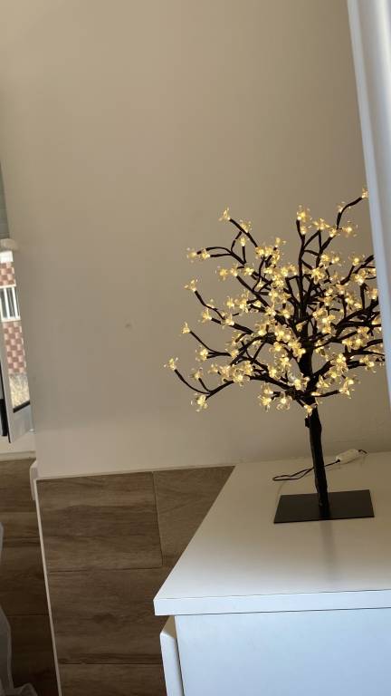 Appartement Coimbra