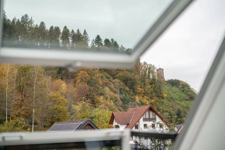 Ferienwohnung Hausach
