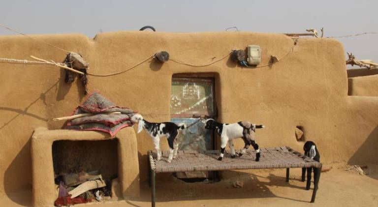 Rumis Desert Camp Resort in Jaisalmer