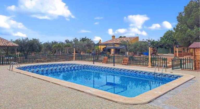 House with pool — photo 3