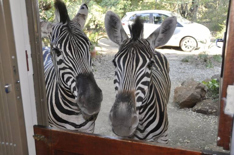 Huis Marloth Park