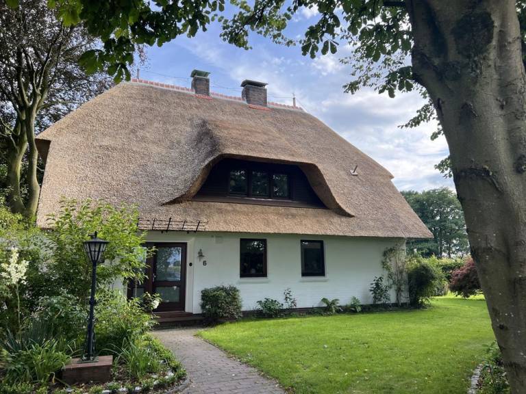 foto18