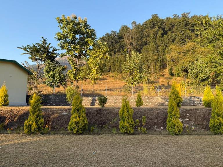 foto4