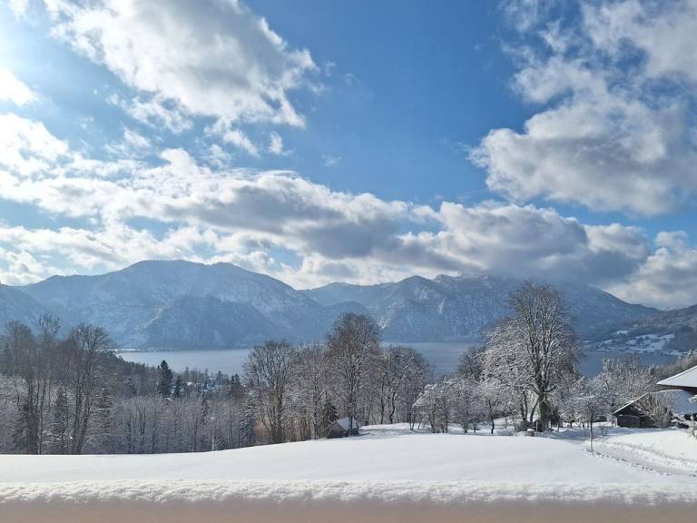 Ferienwohnung mit Hund in Feld, Attersee für max. 4 Personen Ferienwohnung mit Hund in Feld, Attersee für max. 4 Personen